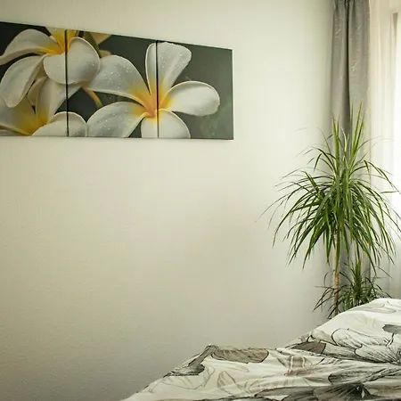 Am Schlosspark Apartment